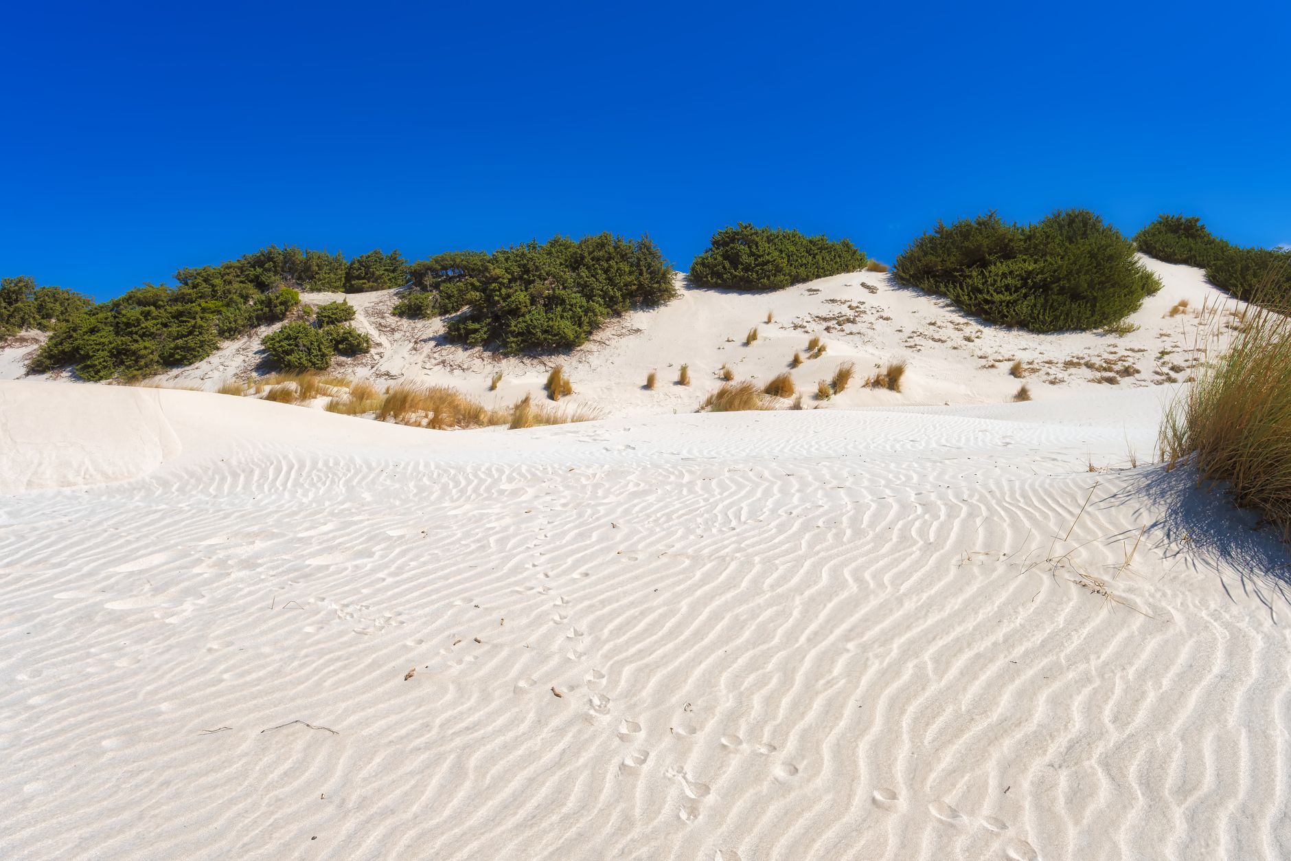 Stunning white sand dunes under clear blue sky in Porto Pino, Sardegna, Italy. — photo by Domenico Adornato / Pexels