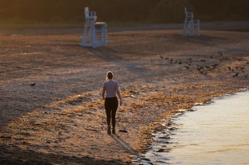 Free A person walks along the sandy beach of Cove Island Park in Stamford, Connecticut during a serene sunrise. Stock Photo
