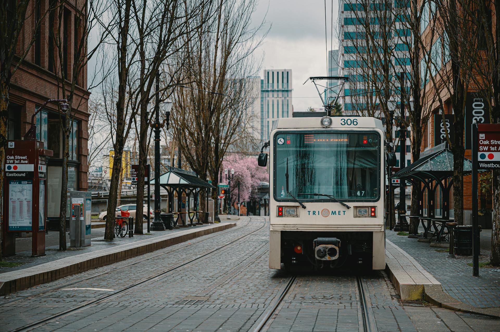 Streetcar at a station in Portland amidst leafless trees and modern buildings.