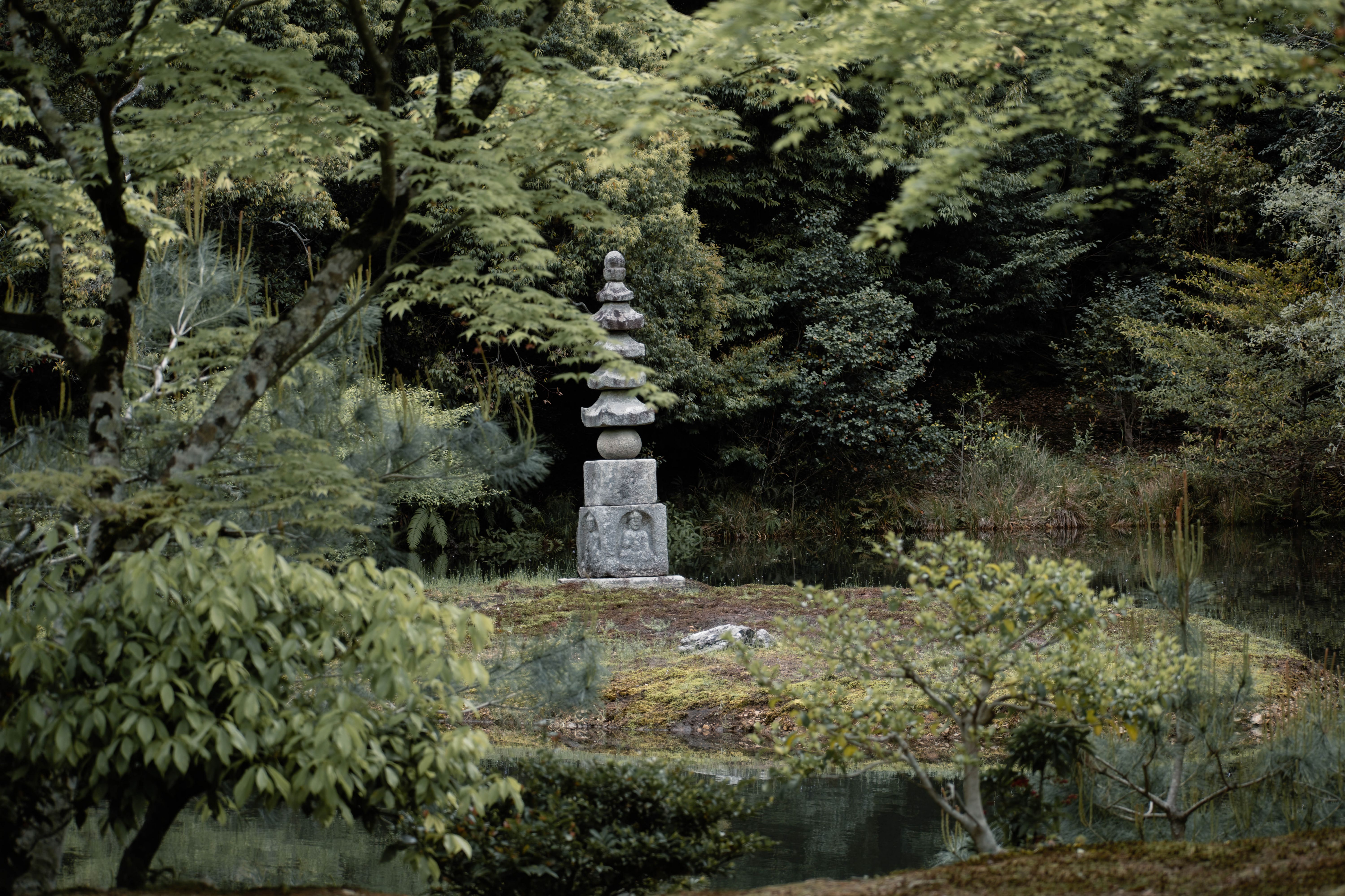 a serene temple garden in Kyoto, early morning light