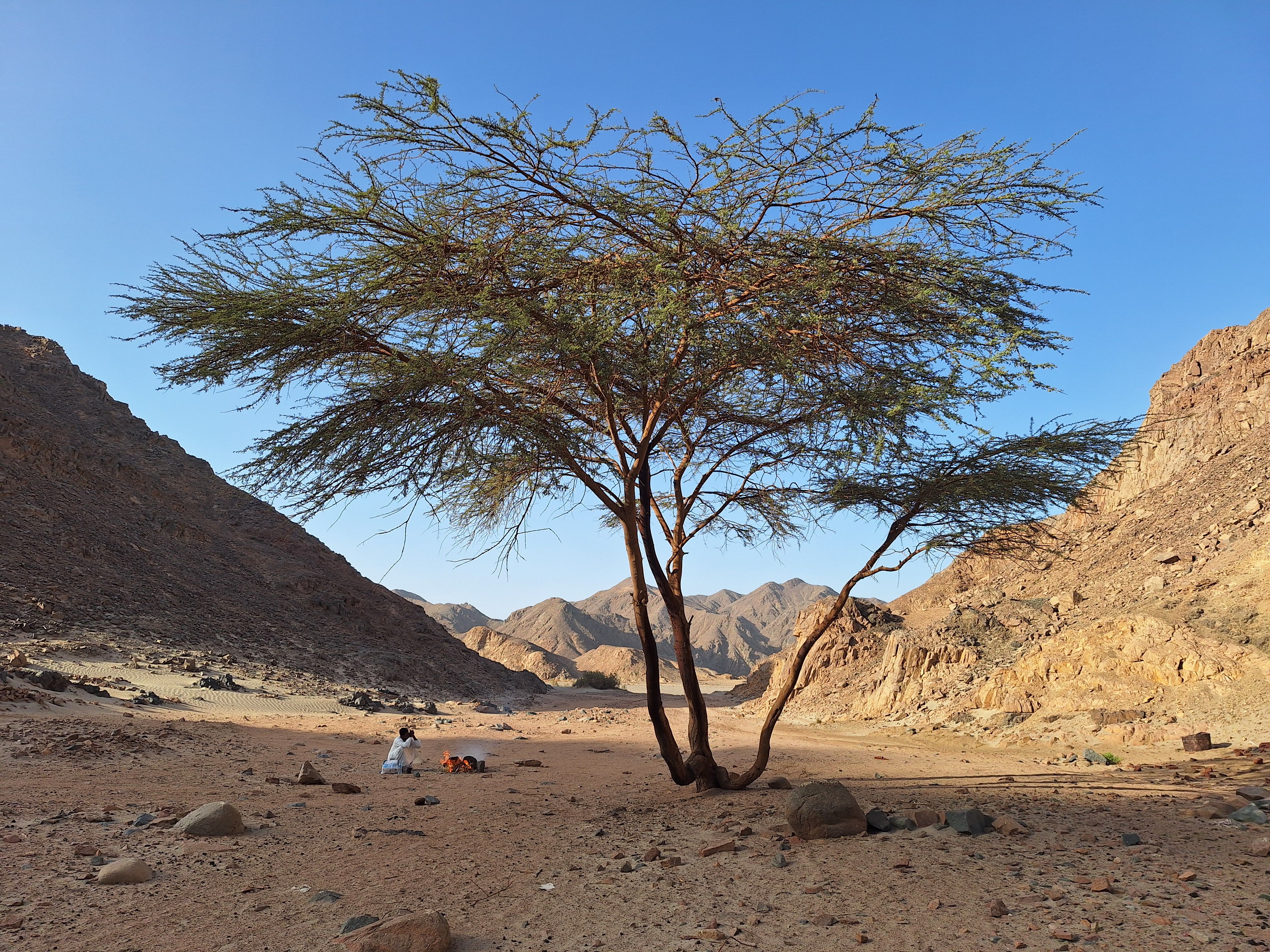 Vuelos baratos a Marsa Alam