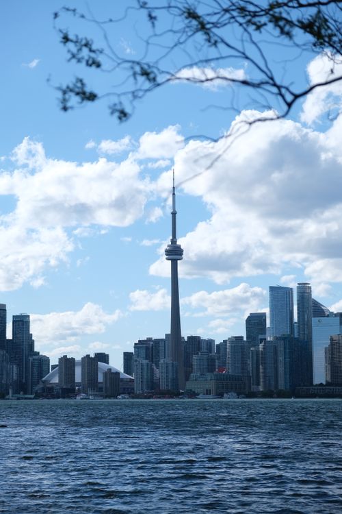Free Stunning view of the Toronto skyline featuring the iconic CN Tower under a clear blue sky. Stock Photo