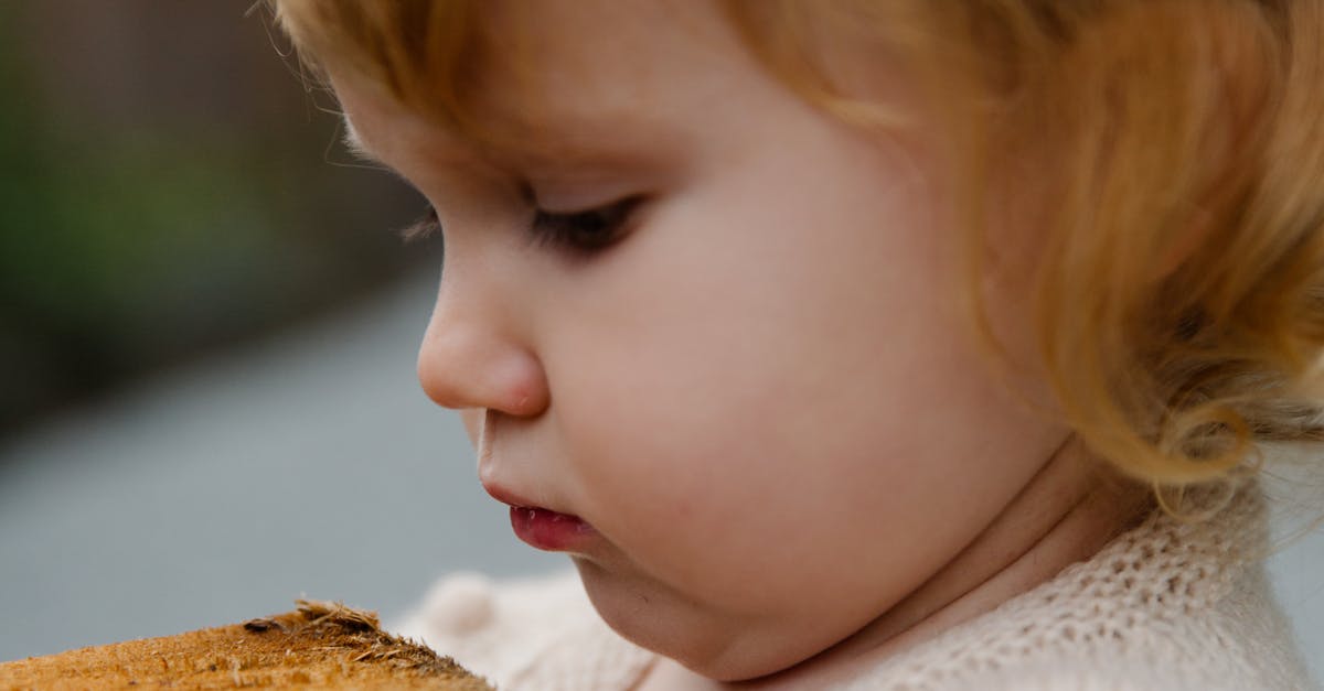 What does MDF stand for wood