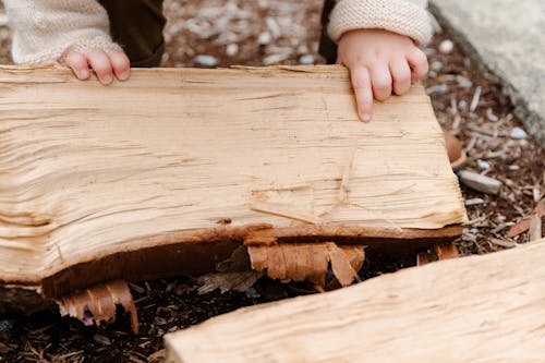 Unrecognizable child putting firewood on ground while standing and preparing for fire in yard during weekend in countryside and enjoying