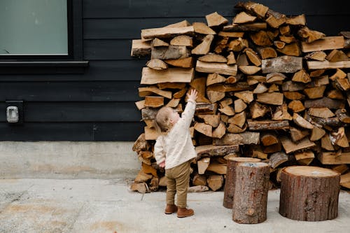 Ücretsiz ağaç kütüğü, ahşap kütükler, çocuk içeren Ücretsiz stok fotoğraf Stok Fotoğraflar