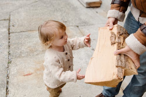 Little girl taking firewood from anonymous father