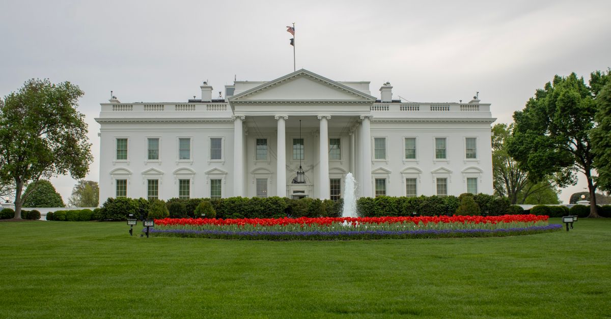 Trump Administration Advances A.I. in Healthcare Amid Safety Concerns