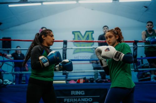 Free Two women training in a boxing ring in Buenos Aires, focusing on technique and fitness. Stock Photo