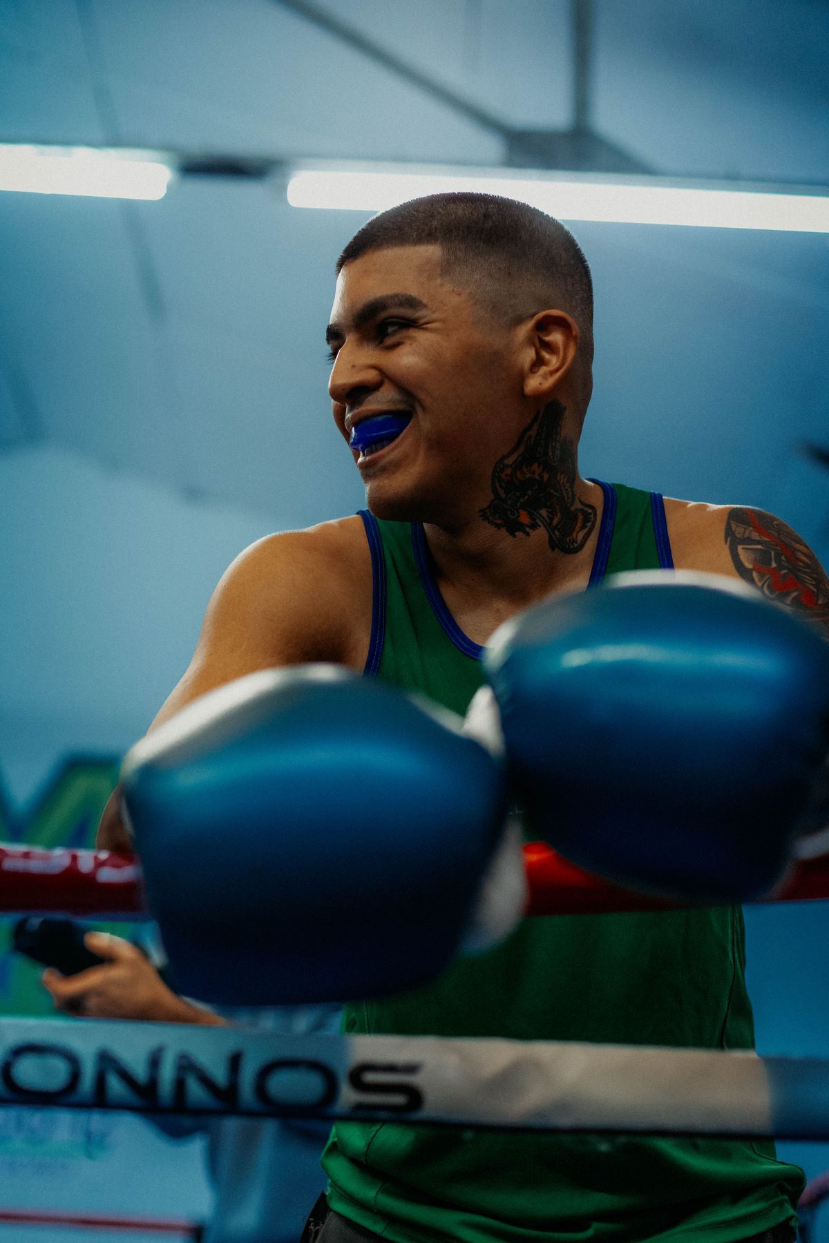 Editorial composition of Instinct Impex boxing gloves, rash guard and combat equipment