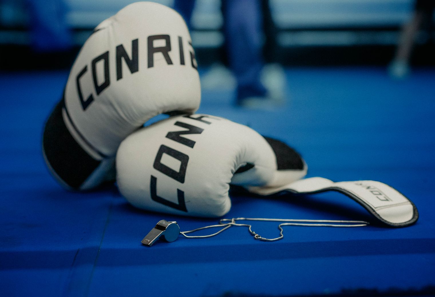 Queensferry — professional packers wrapping and boxing belongings