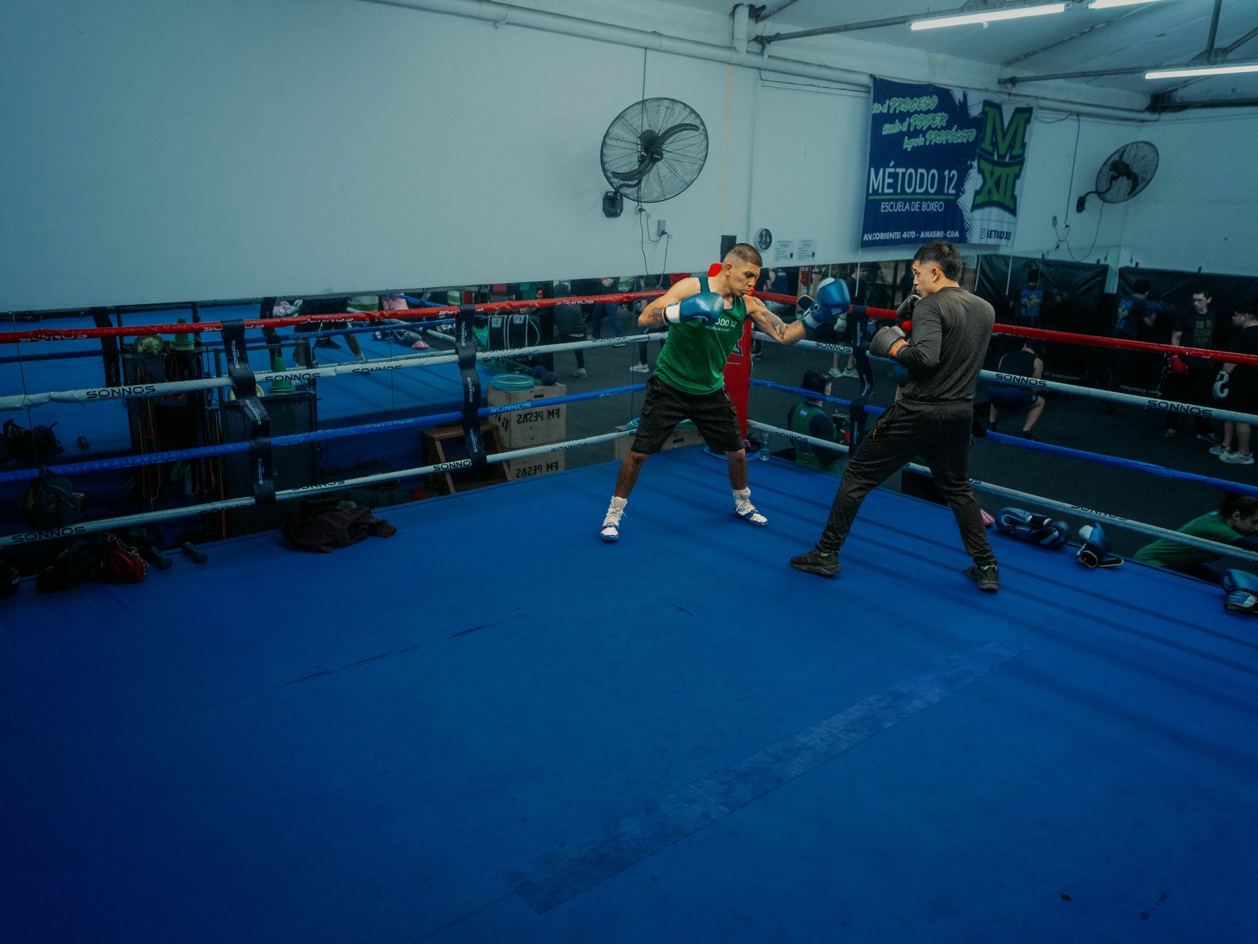 Pierowall — professional packers wrapping and boxing belongings