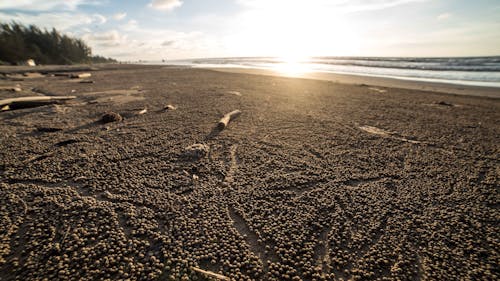 Foto profissional grátis de por do sol da praia, sol