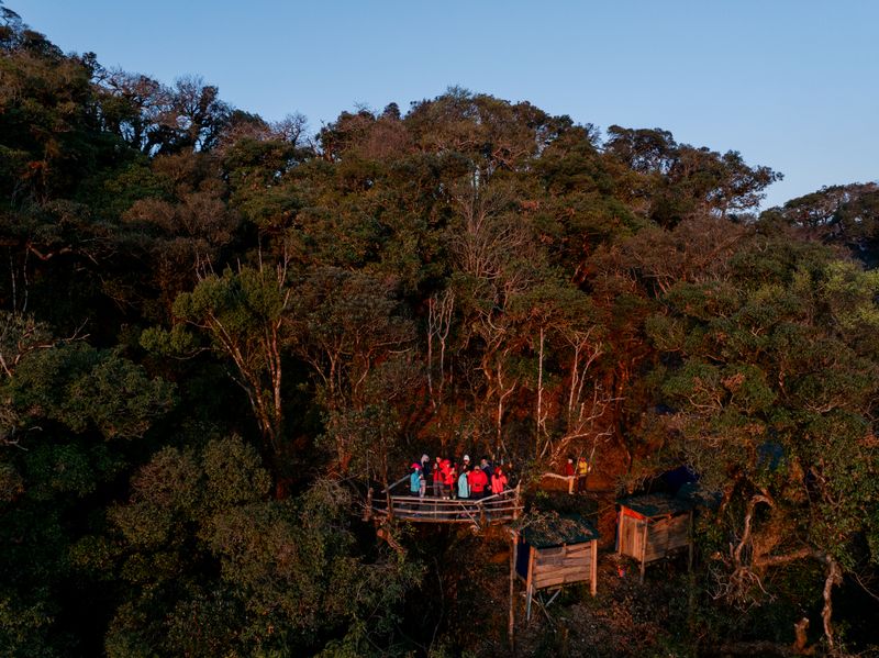 Mirador panorámico de madera elevado en la Ruta de las Flores