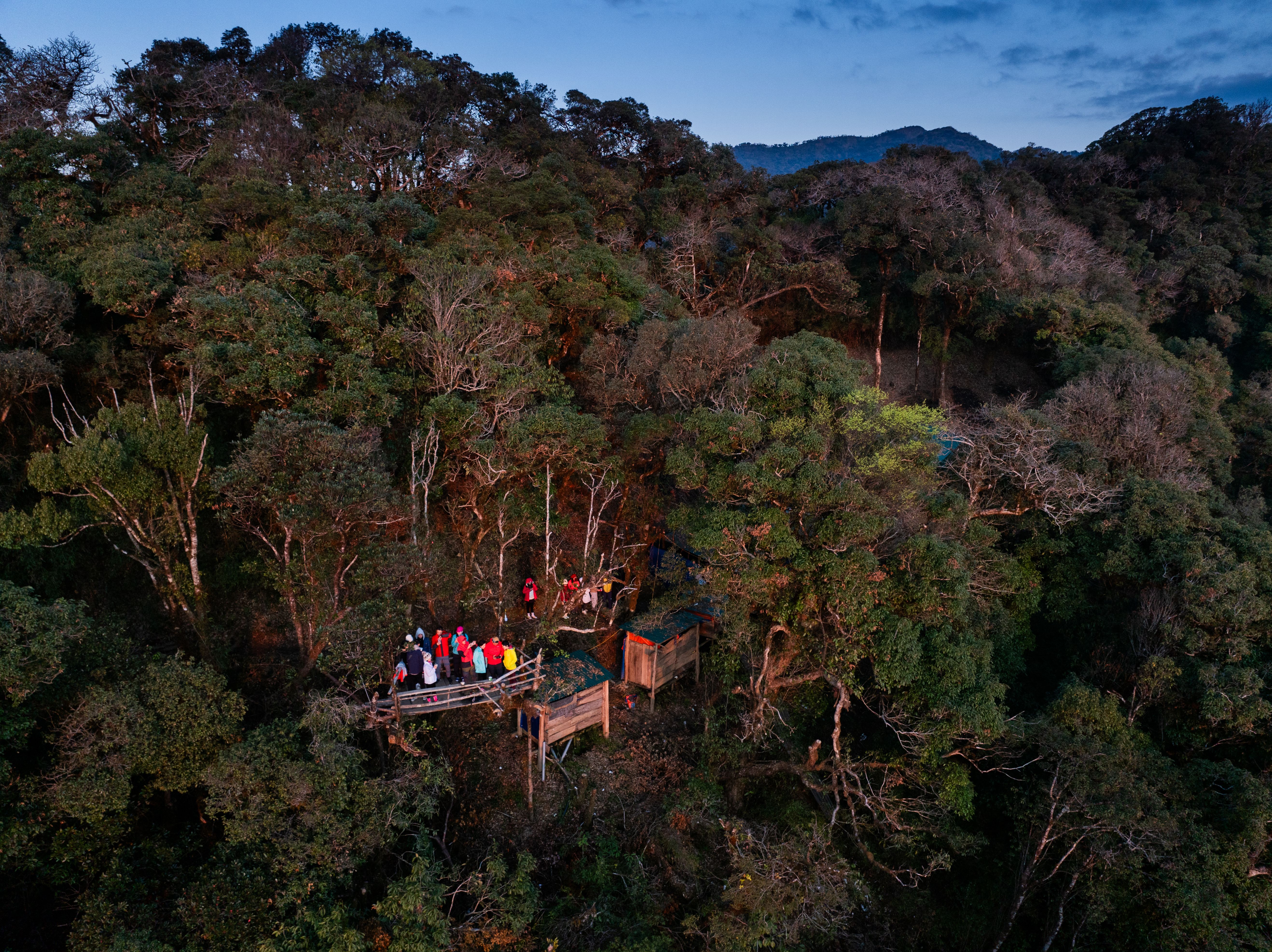 Best Homestays and Guesthouses in Chikmagalur