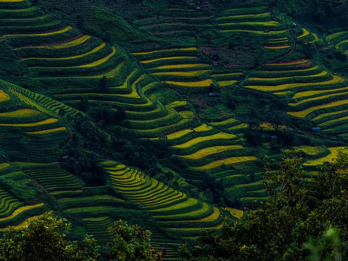 6 Day Soul Journey: The Five Elements Experience, Pokhara, Nepal 1