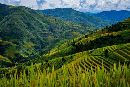 Free Beautiful terraced rice fields in a vibrant mountainous landscape under a cloudy sky. Stock Photo
