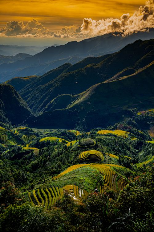 Free Scenic view of stunning terraced fields under a golden sunset sky in the mountains. Stock Photo