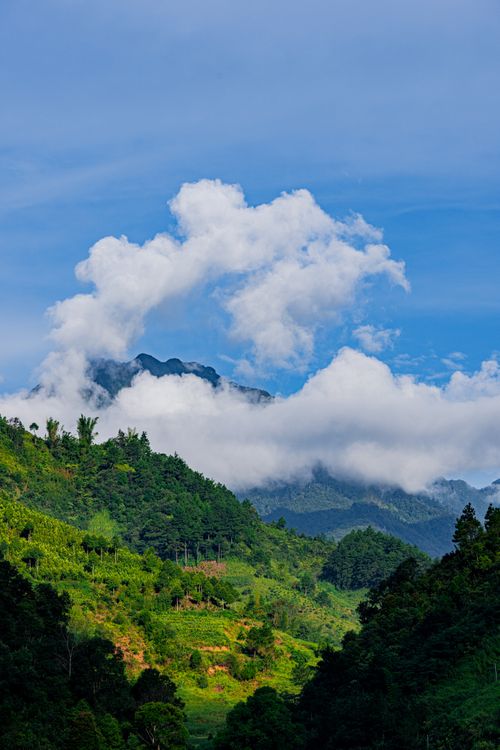 Free Panoramic view of green mountains covered in clouds under a vibrant blue sky. Stock Photo