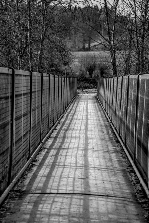Free A moody black and white photograph of a rustic bridge lined with trees, casting long shadows. Stock Photo