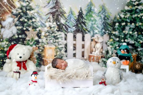 Free Adorable newborn sleeping amid winter-themed decor with plush toys. Stock Photo