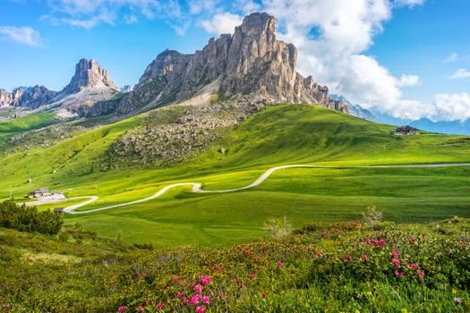 Stunning view of the Dolomites with vibrant greenery, winding road, and blooming alpine flowers under a bright blue sky.
