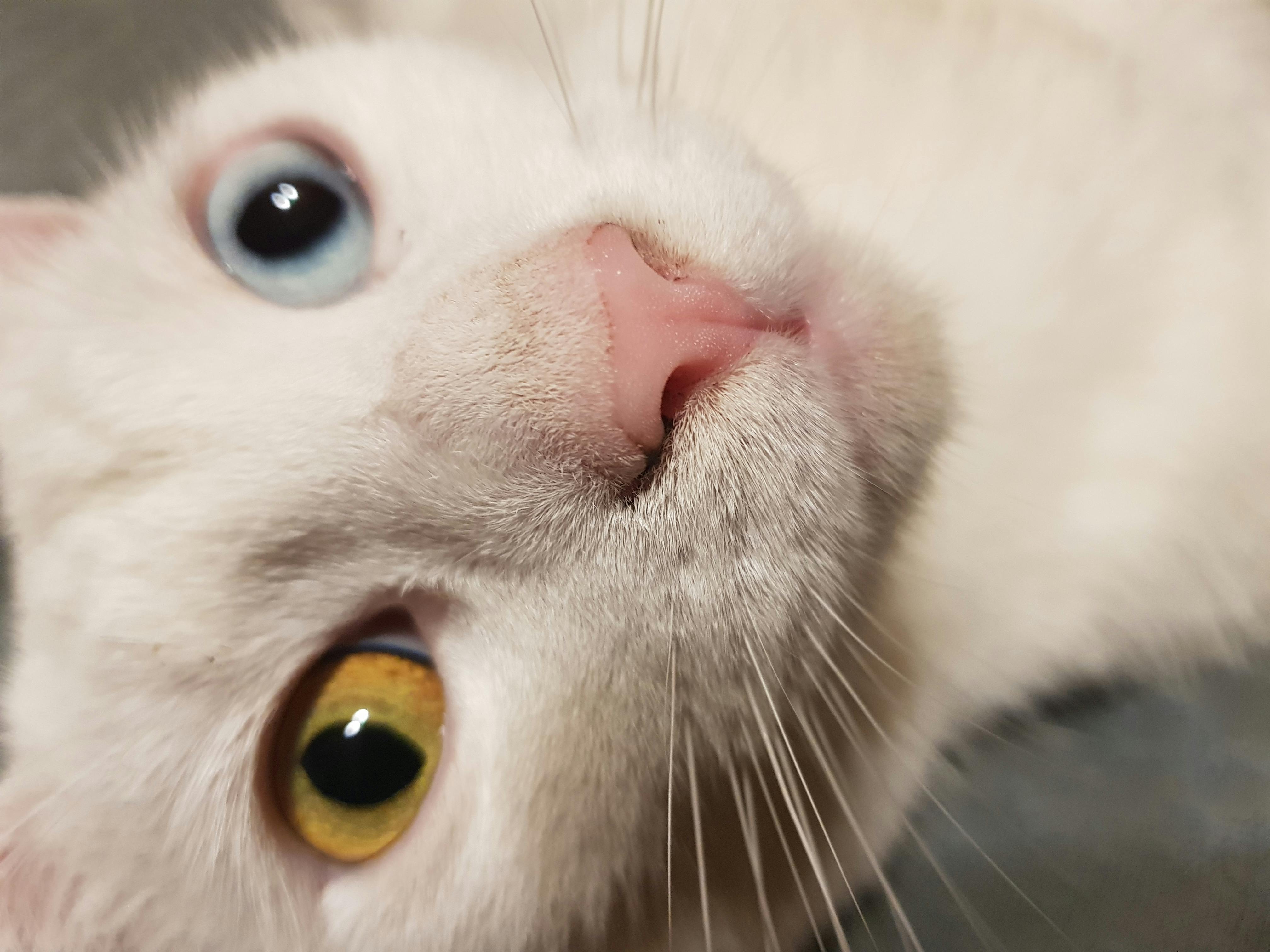 Швидкі Виплати