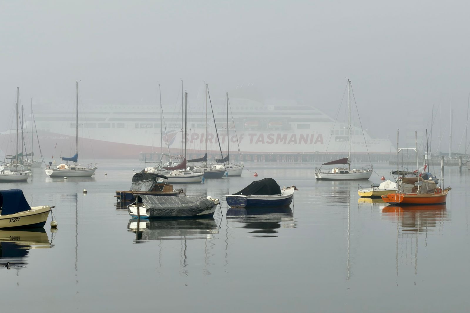 Tasmania in Six Days: The Hobart, Cradle and Freycinet Circuit (2026)