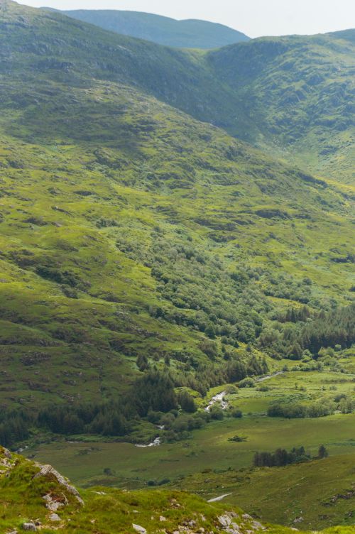 Free A breathtaking view of the verdant hills in Ireland, showcasing the beauty of nature. Stock Photo