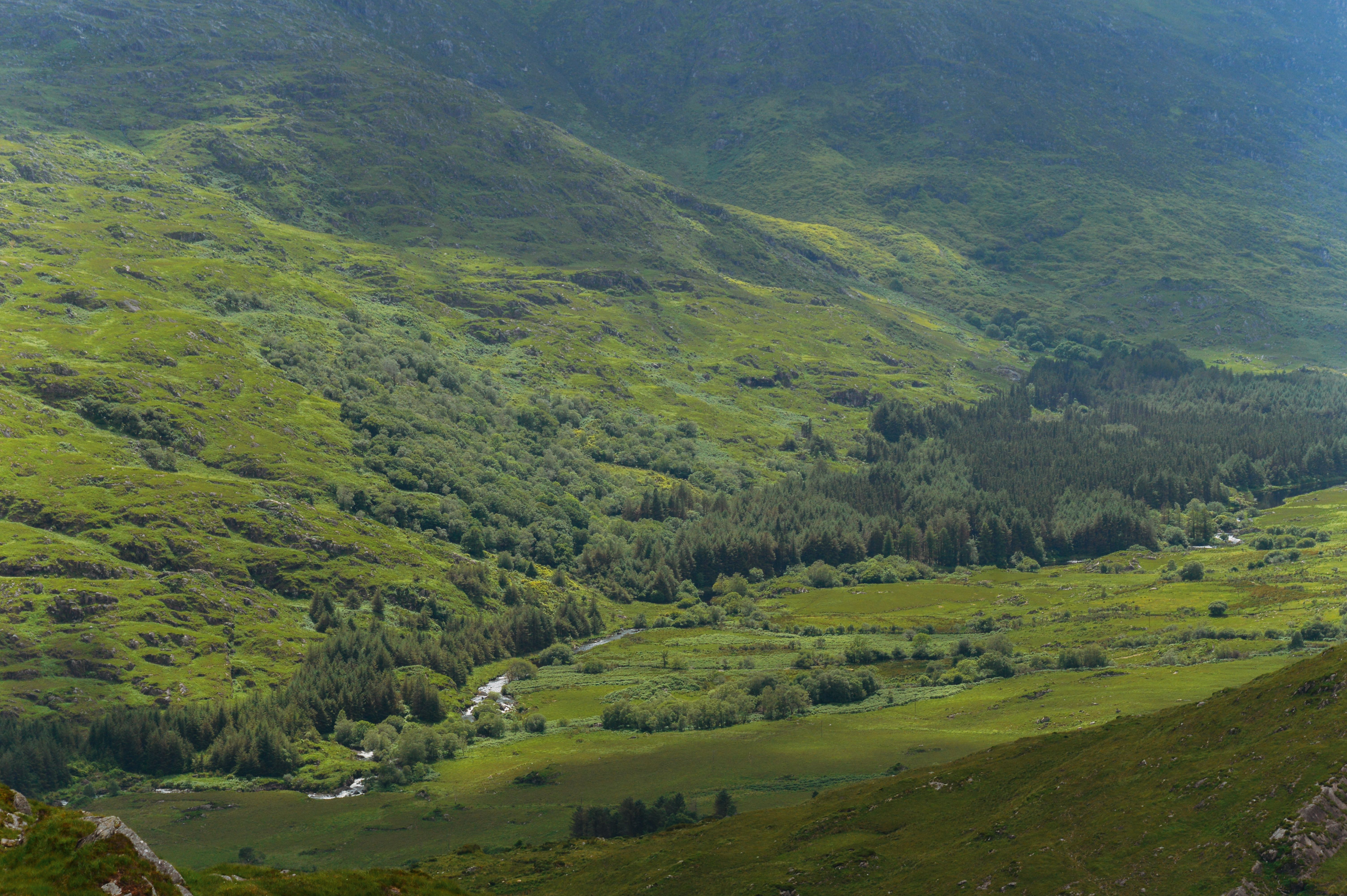 15 Day Personal Retreat w/ Silence, Nature & Meditation Germany 1
