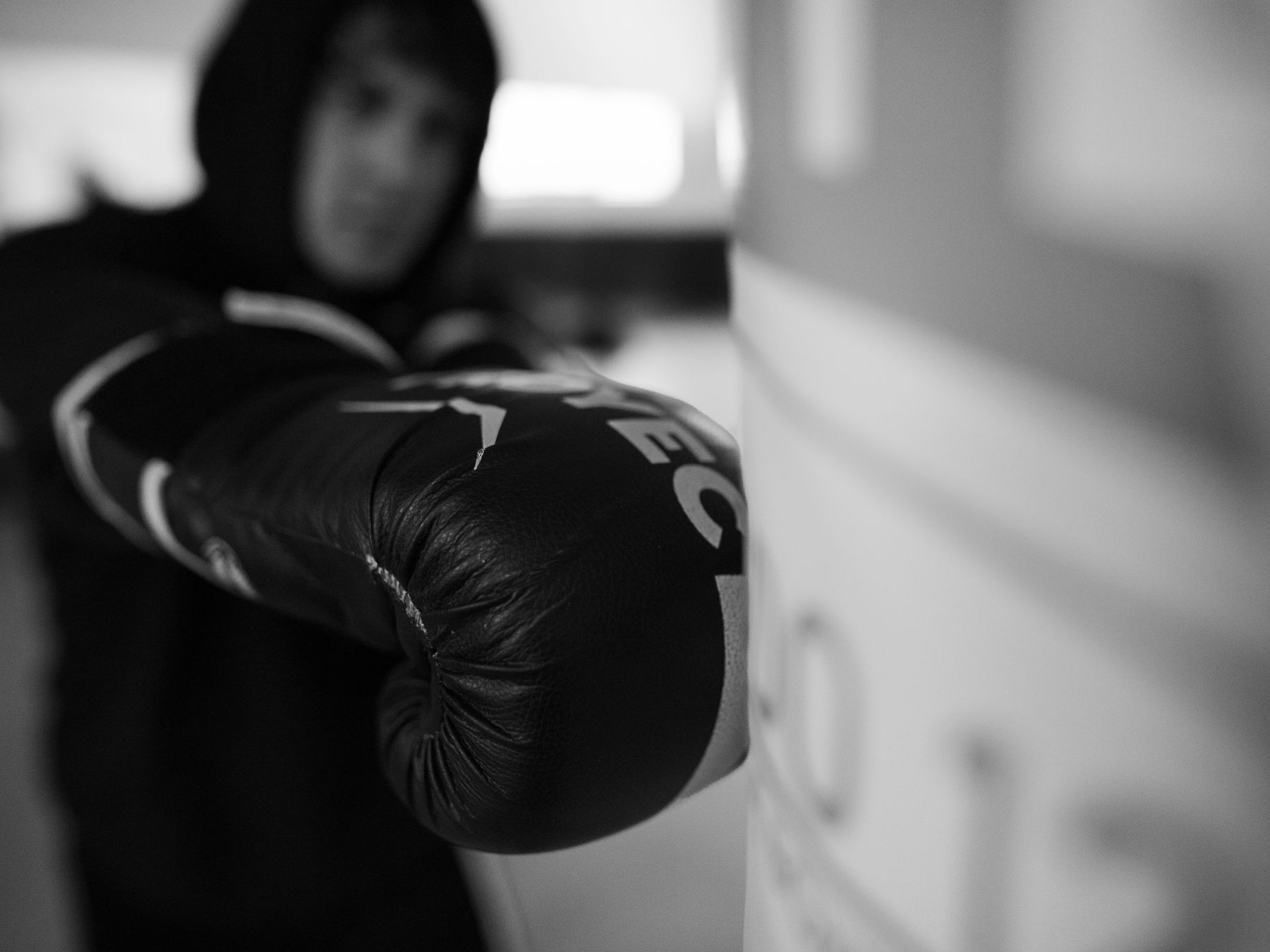 Preston — professional packers wrapping and boxing belongings