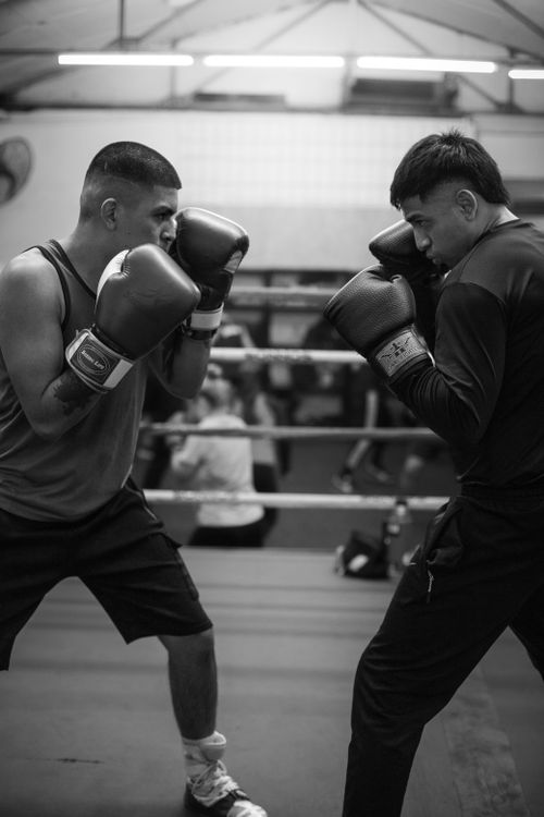 Free Black and white photo of two men sparring in a boxing gym in Buenos Aires, Argentina. Stock Photo