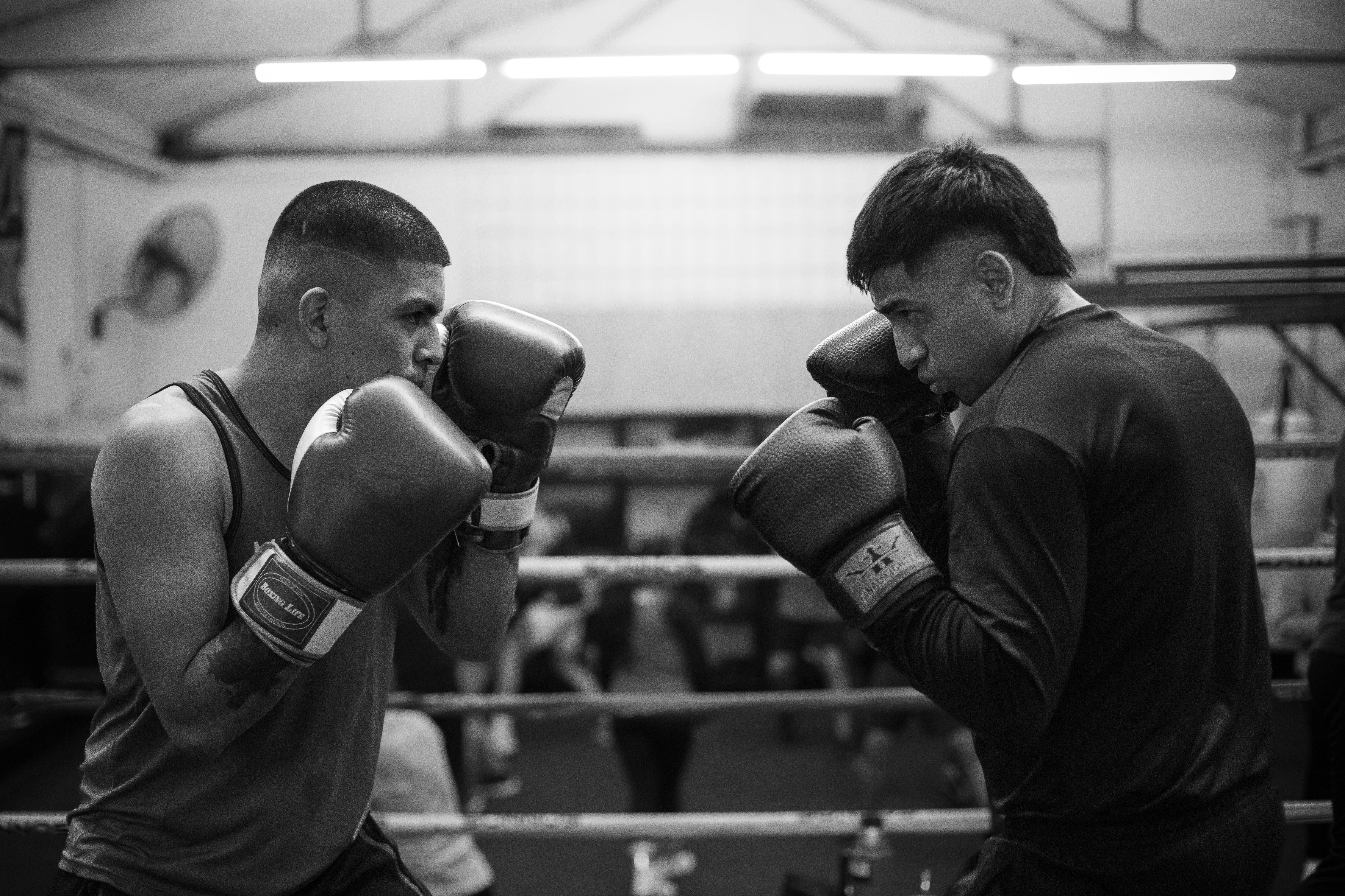 Salisbury — professional packers wrapping and boxing belongings