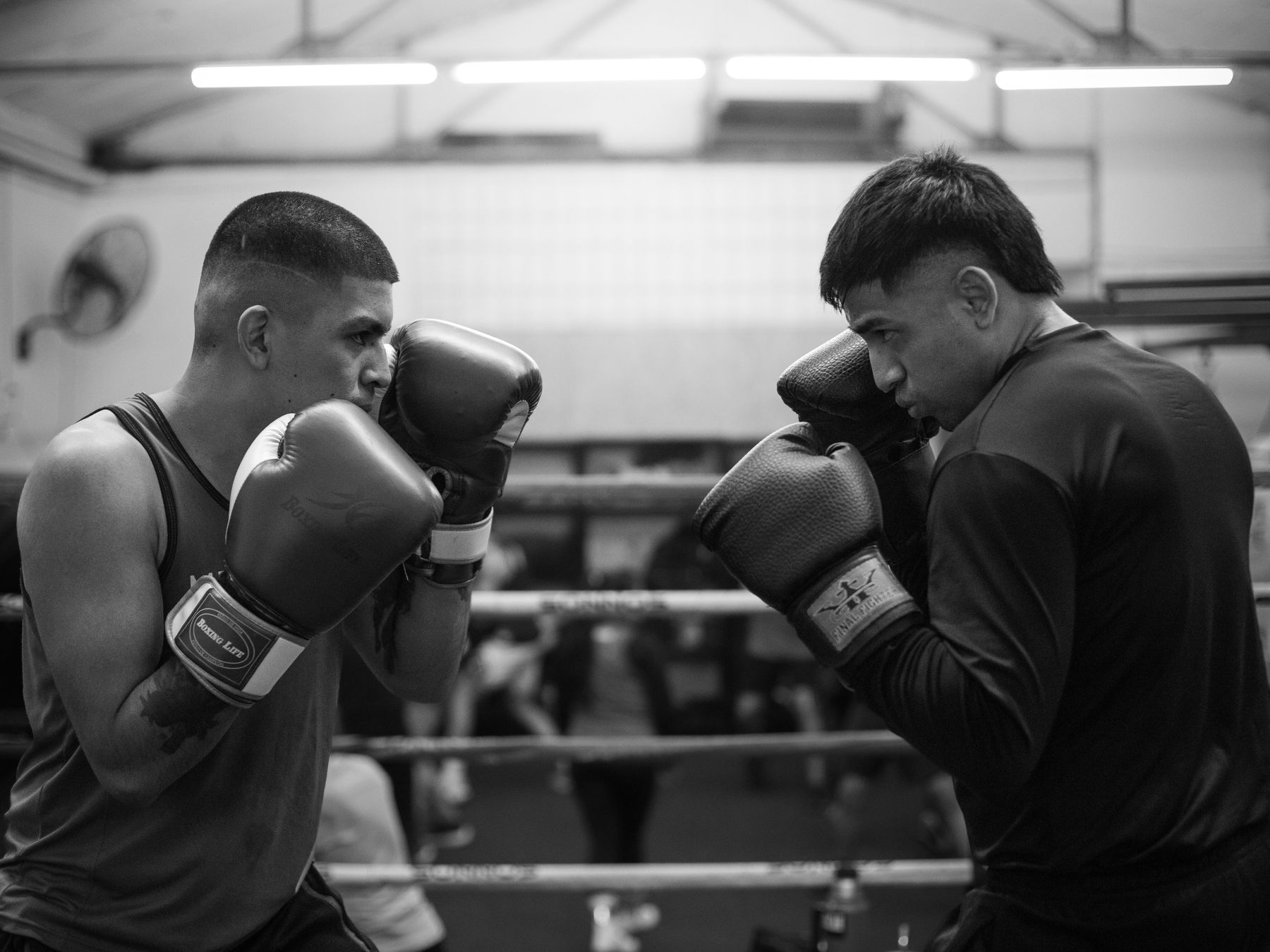Cromer — professional packers wrapping and boxing belongings