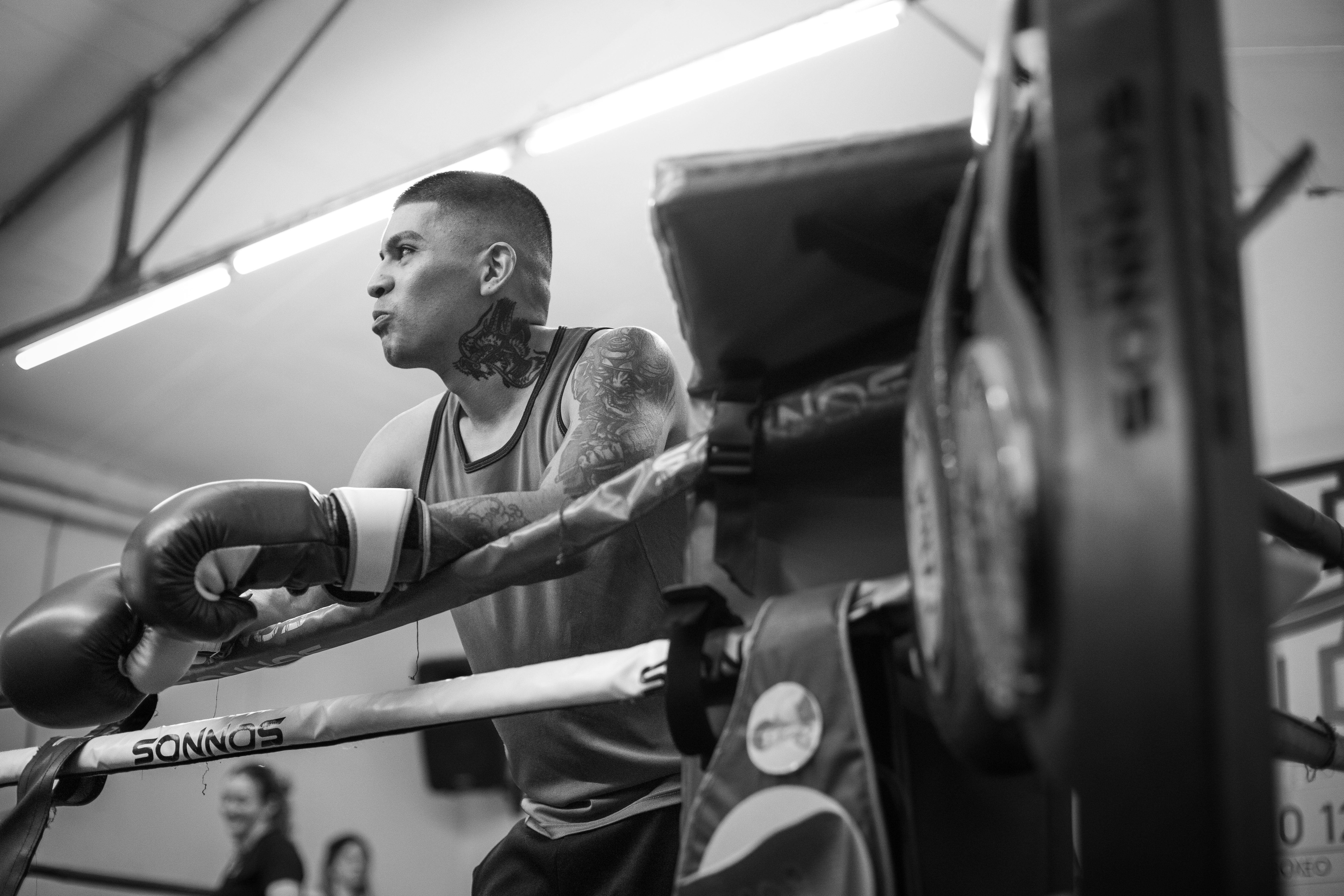 Combat Sports vs. Aqua Gym Equipment: Which Home Workout Sys