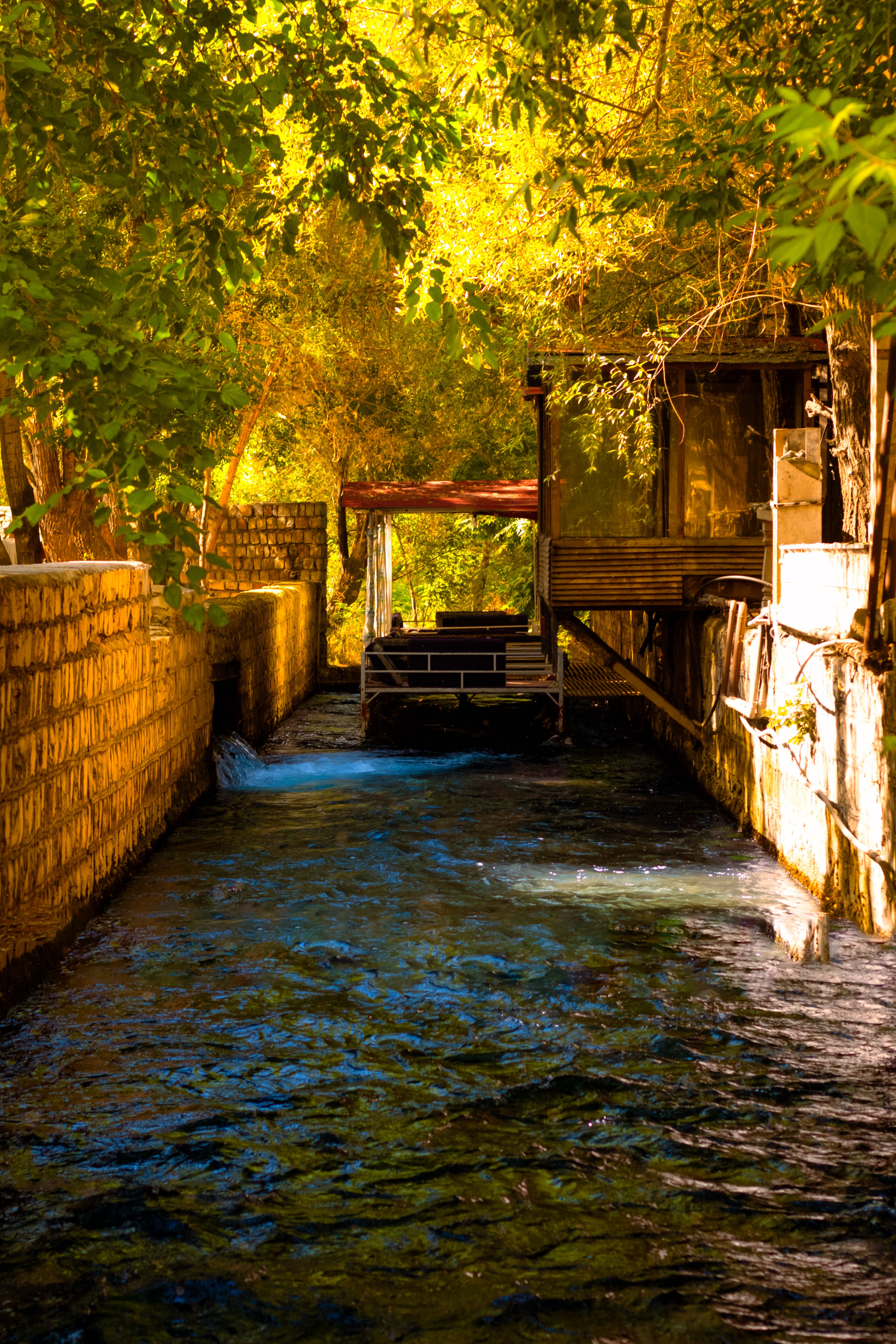 Serene forest canal in Kermanshah, Iran, with golden hour sunlight filtering through lush trees.