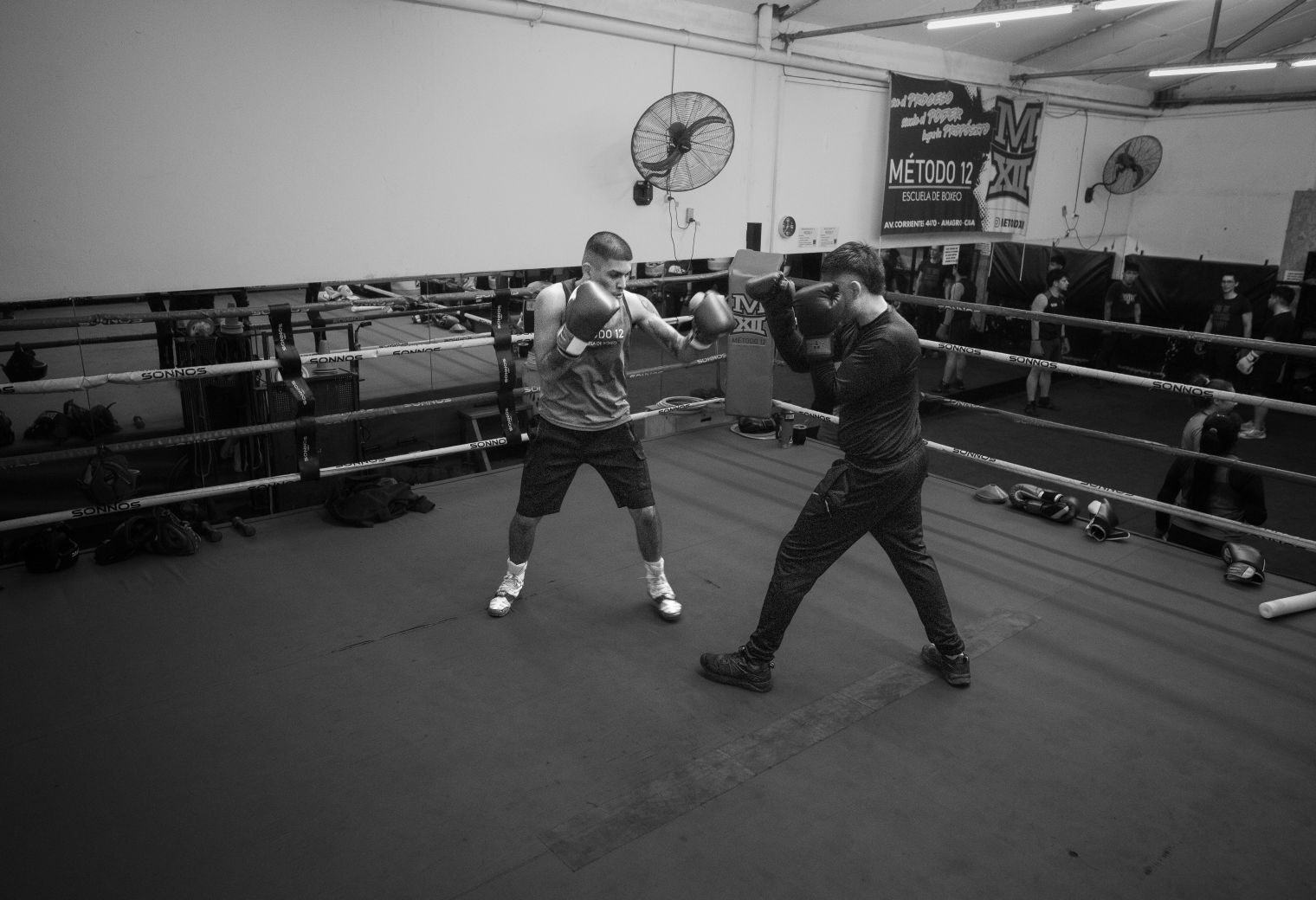 Blantyre — professional packers wrapping and boxing belongings