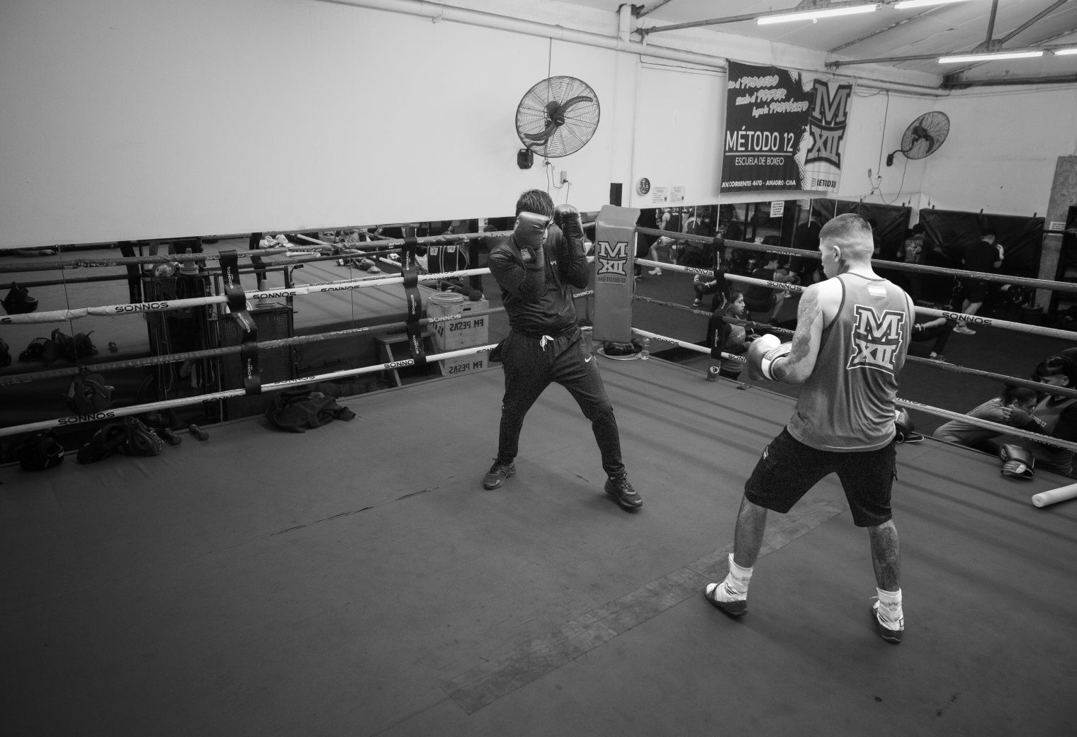 Northfleet — professional packers wrapping and boxing belongings