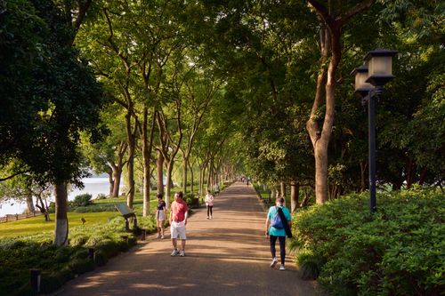 Free A serene tree-lined walkway with people enjoying a leisurely stroll on a sunny day. Stock Photo