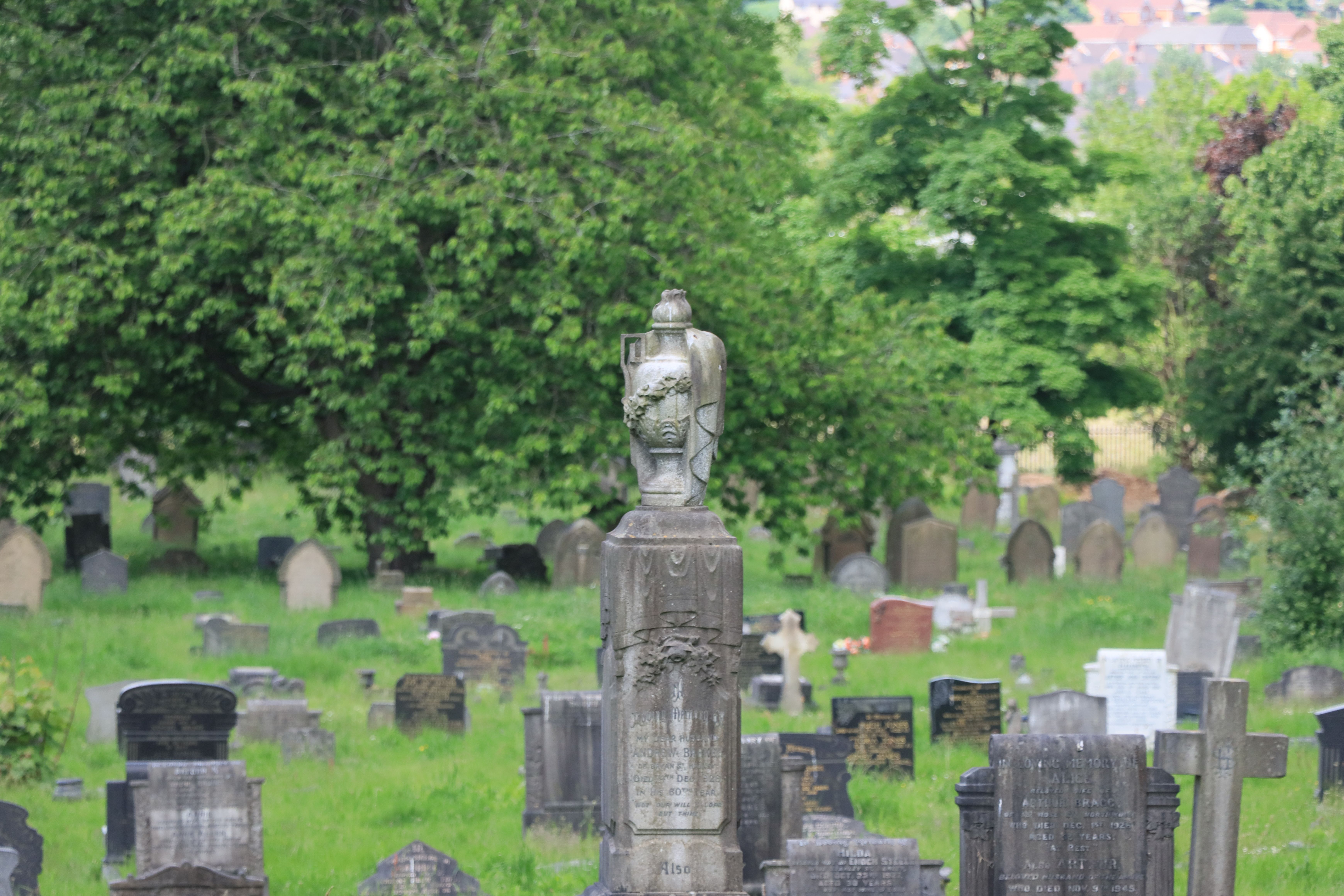 Grabstein und Urne auf einem Friedhof als Symbol für verschiedene Bestattungsarten
