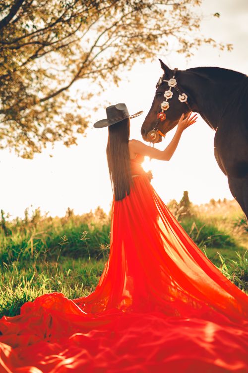 Free A woman in a flowing red dress stands with a decorated horse in a sunlit field, creating a dreamy atmosphere. Stock Photo