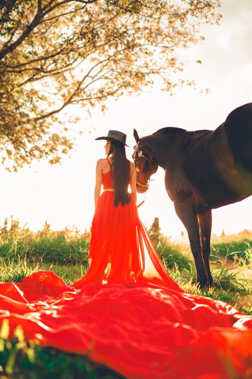 Free Woman in red gown and cowboy hat standing beside a horse at sunset, exuding elegance and serenity. Stock Photo