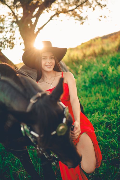 Free Woman in a red dress and black hat stands with a horse in a sunlit green field. Stock Photo