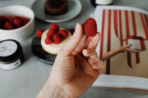 Person Holding Raspberry Fruit