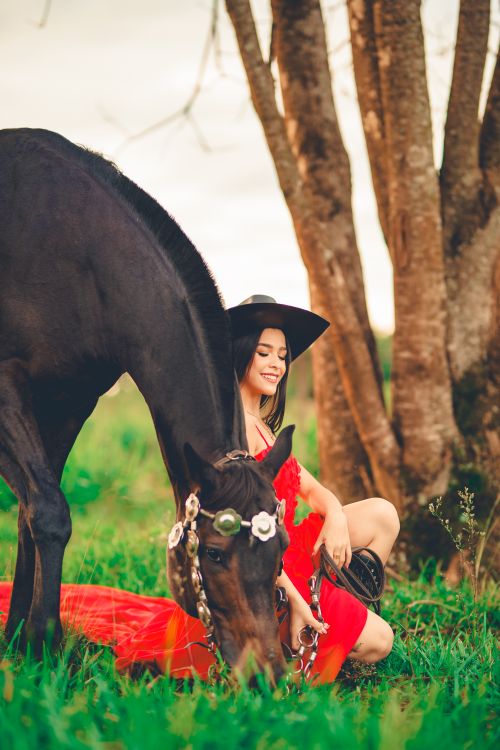 Free A woman in a red dress sits beside a grazing horse outdoors amidst trees. Stock Photo