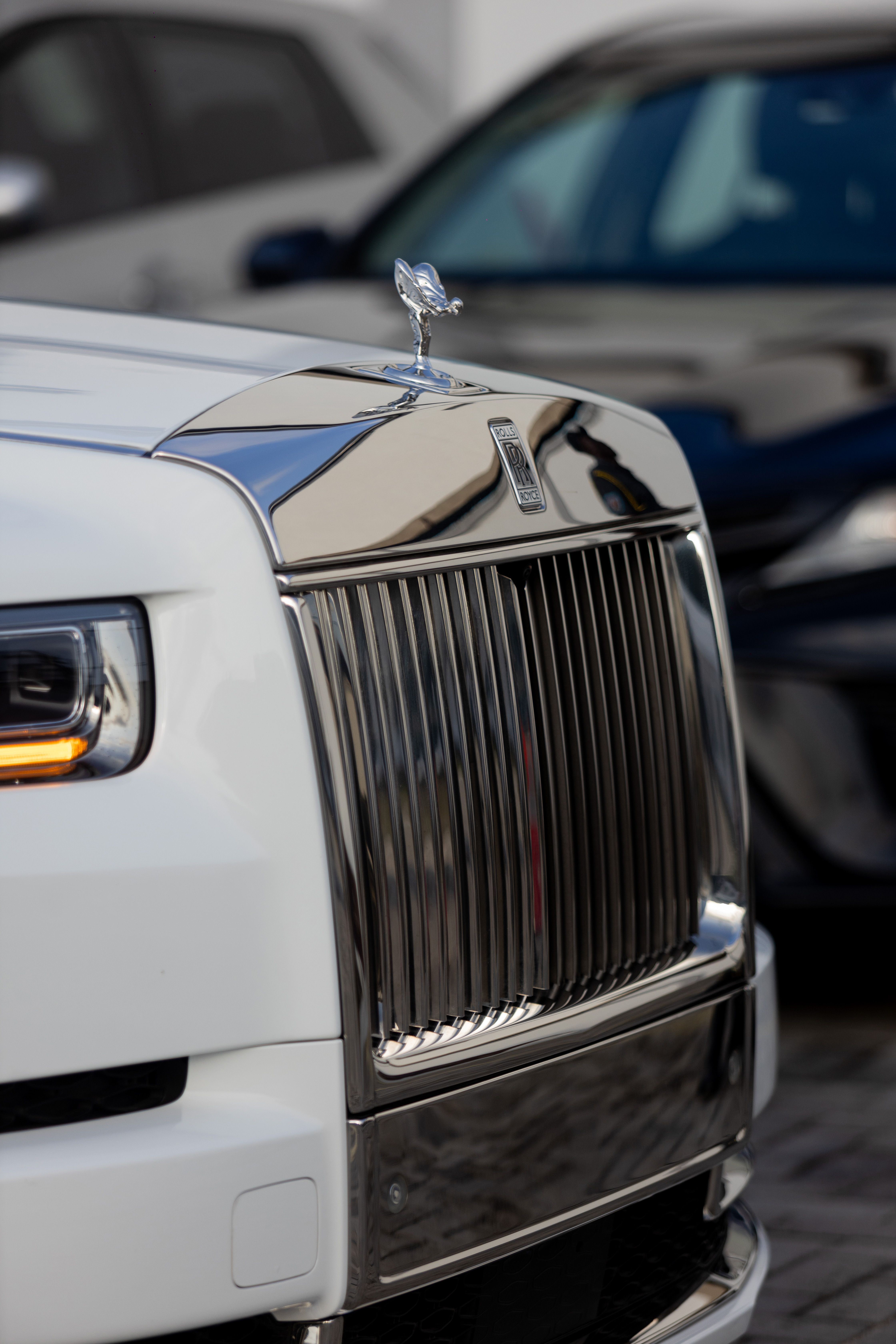 PLR phantom