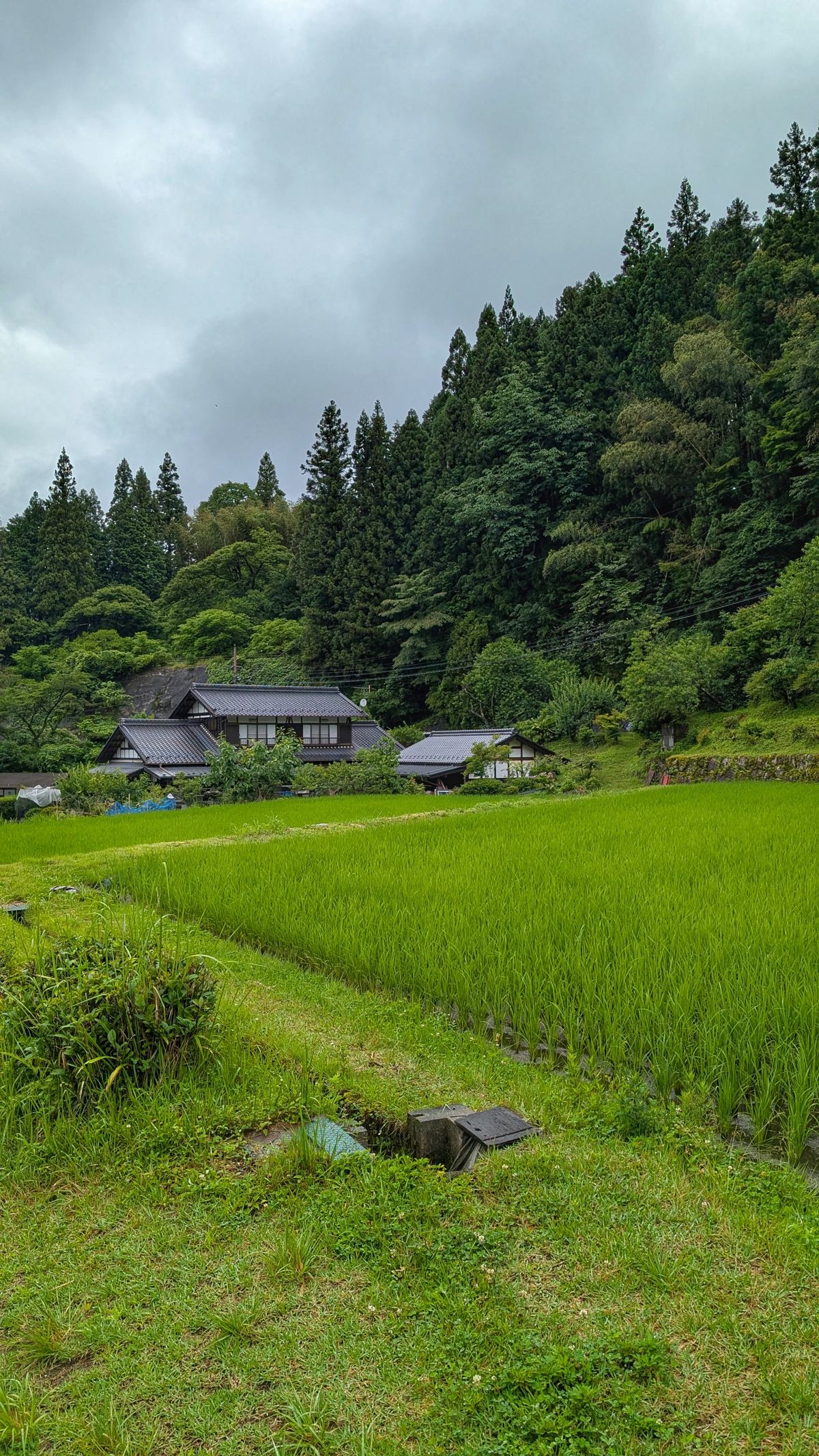 日本の田舎の風景
