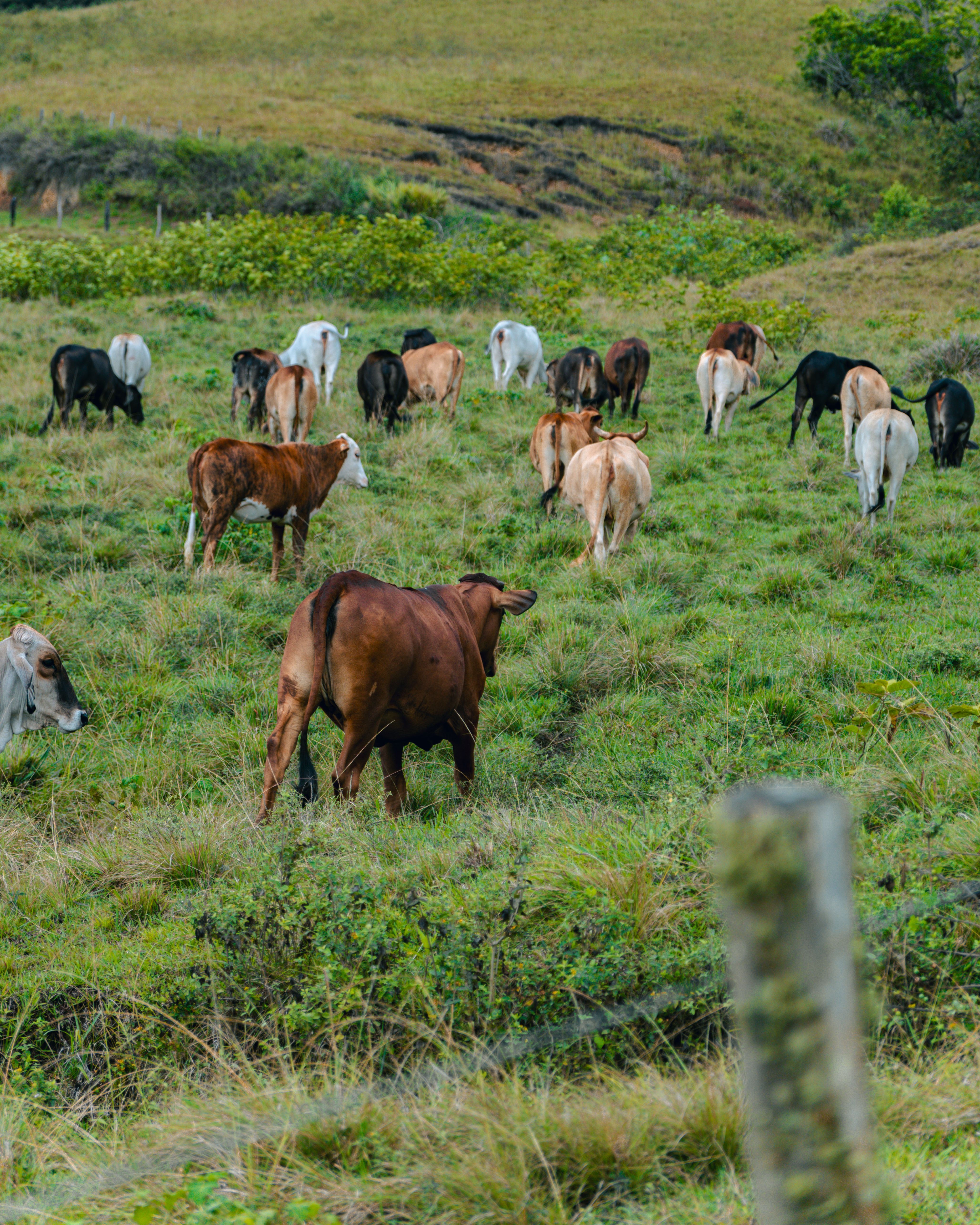 Estudantes participam de jornada de formação técnica em entidade rural do Valle Medio
