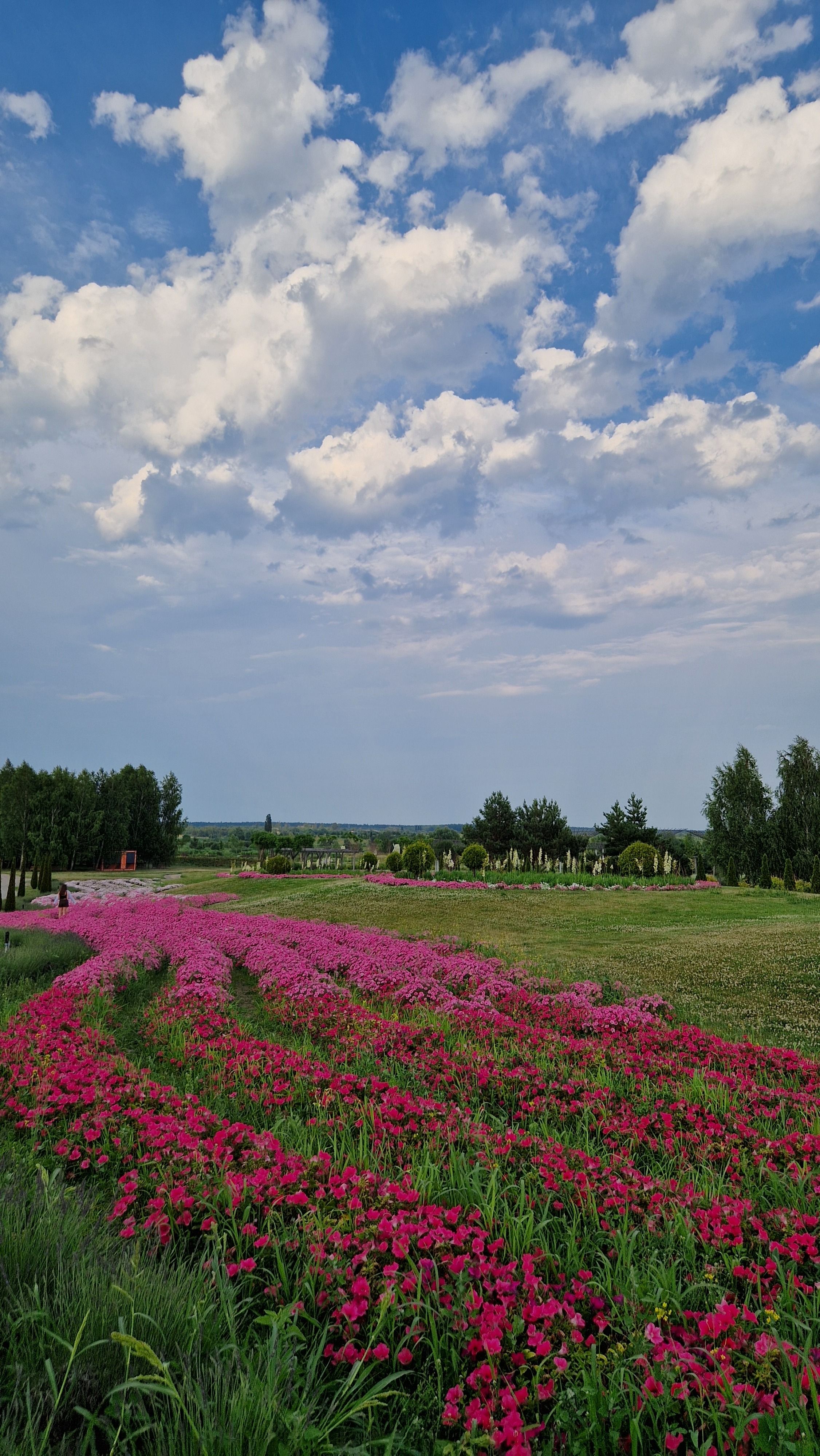 A beautiful scene of vibrant pink flowers leading to a lush green landscape under a partly cloudy blue sky.