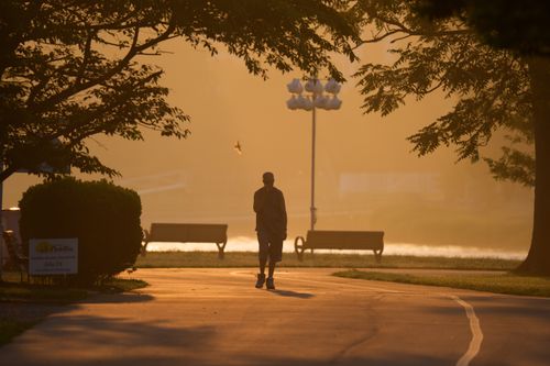 Free A serene morning walk at dawn in Cove Island Park, Stamford, surrounded by soft sunlight. Stock Photo