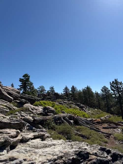 Free Explore the rugged beauty of a rocky landscape with pine trees set against a vibrant clear blue sky. Stock Photo